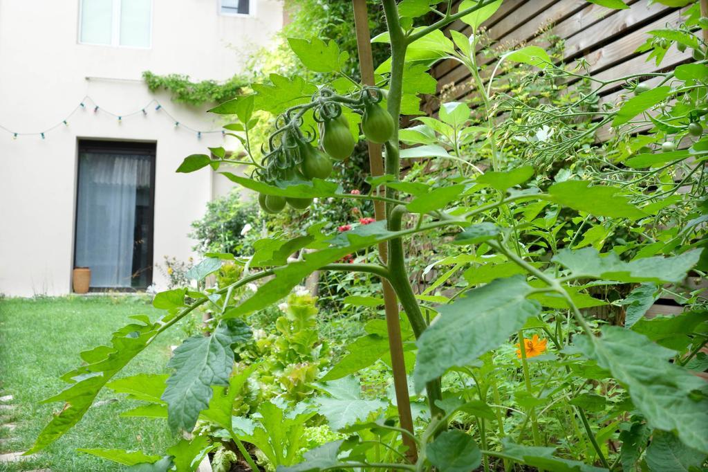 La Campagne A Paris B&B Екстериор снимка